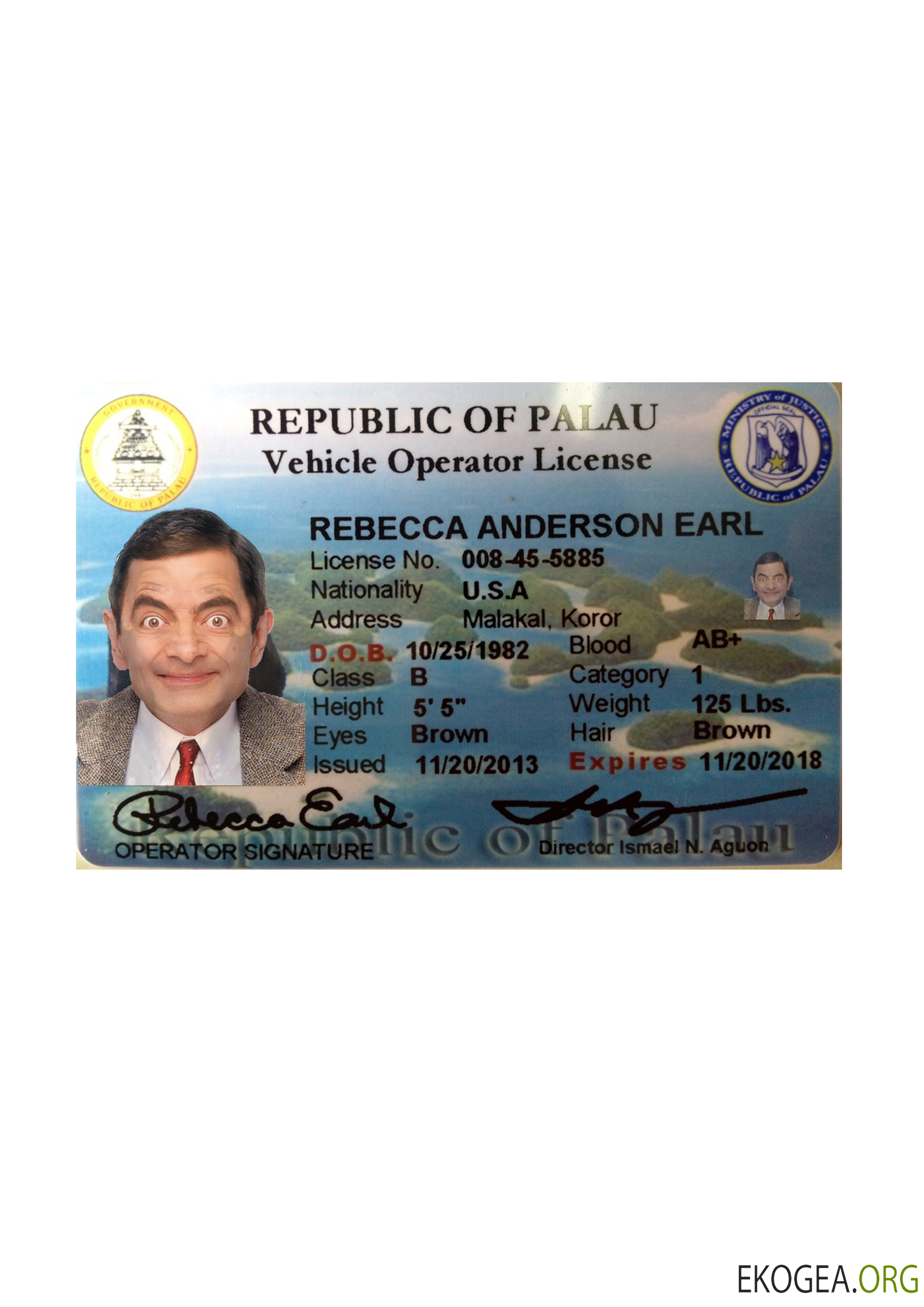 Palau driving license front side